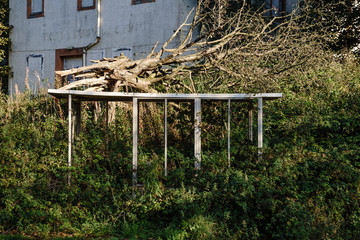 Overgrown bus stop of the internal service, Bangour Village Hospital; Dechmont, near Livingston,...