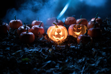 halloween jack-o-lantern on autumn leaves. Scary Halloween Pumpkin looking through the smoke....