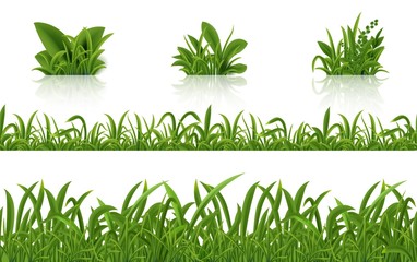 Realistic green grass. 3D fresh spring plants set. Vector isolated illustration bunch herbs on tussock on white background