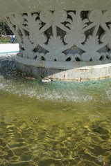 fountain in the park