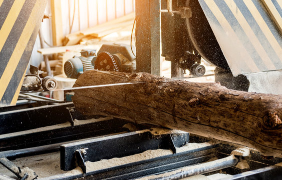 Modern sawmill. Industry sawing boards from logs