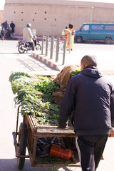 Gew&uuml;rze auf gro&szlig;er Fahrt