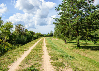 Dirt road near the trees, clouds on the sky.