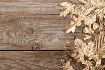 top view of golden foliage on wooden textured background