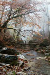 Beautiful wooden bridge over a mountain river in fall. Autumn forest. Djur-djur, Crimea.