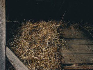 Wooden barn with hay bale coming out. Hay bale, wheat for farm animals. Wood texture, food, dry. - obrazy, fototapety, plakaty