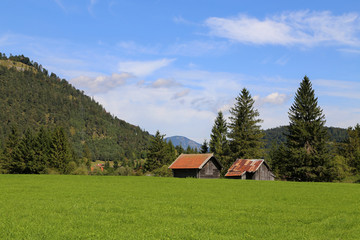 Mountain huts on green meadows in the Alps