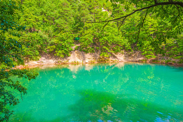 Naklejka premium Summer forest lake emerald color effect
