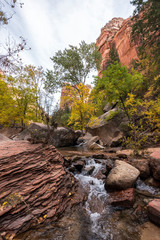 Hiking Trail to the Subway in Zion NP 26