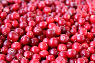 cranberries background