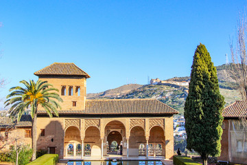 beautiful gardens and trees at Alhambra in Granada Spain