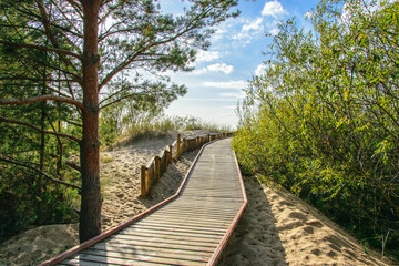 Wooden walkway through the dunes to the Gulf of Riga in Latvia.