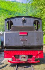Black steam locomotive in forest