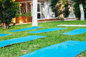 Blue yoga mats on the green grass at outdoor. Morning Yoga or meditation outside in park. 