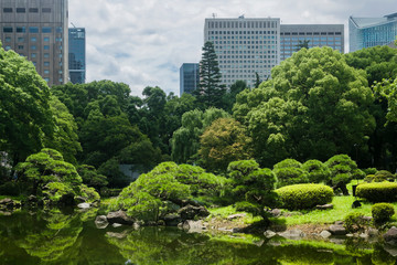 Nature or urban background with view of Hibiya park in Tokyo, Japan, with trees and tall buildings of Marunouchi business district illustrating modern urban ecology concept. 