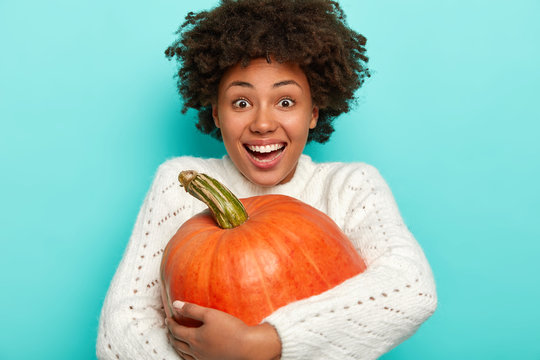 Overjoyed Afro woman embraces big squash, smiles broadly, happy to harvest autumn crops, wears knitted white sweater, ready for celebrating Halloween or Thanksgiving. Lady with fresh pumpkin
