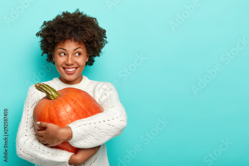 Horizontal shot of glad dark skinned female has Afro haircut, holds big pumpkin, uses healthy product for preparing organic meal, looks happily away, dressed in sweater, models over blue background