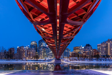 Calgary's skyline inn winter.