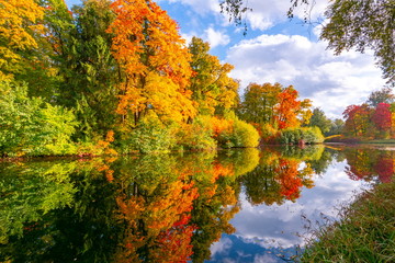 Autumn foliage in Pavlovsky park, Pavlovsk, St. Petersburg, Russia