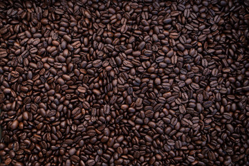 fresh roasted organic coffee beans