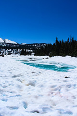 On top of Mountain Garibaldi with snow on the ground