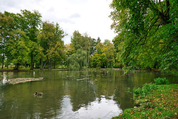 Fototapeta na wymiar Teich im Kurpark in Bad Aibling, in Oberbayern