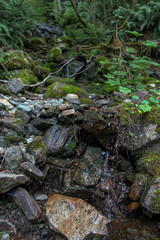 Waterfalls in the province of British Columbia