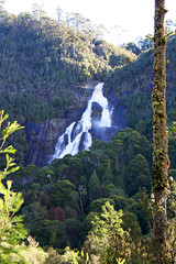 Waterfalls in a rain forest. Tasmania.