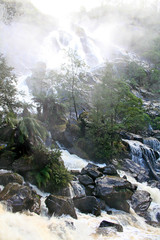 Getting showered at the base of the falls. Tasmania.