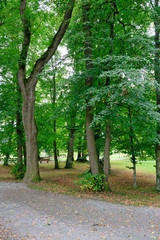 Alte und große Laubbäume an Wanderwegen durch den Kurpark Bad Aibling