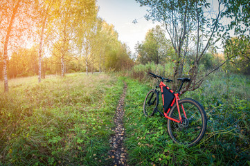 bright bike in forest in autumn, distortion perspective fisheye lens view