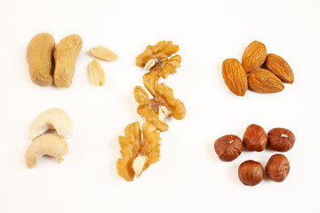 Hazelnuts, walnuts, almonds, cashews and peanuts on white background