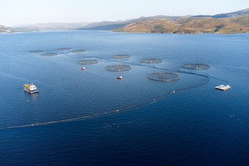 Fish farm salmon sea nets farming at sea Loch Tay Scotland UK