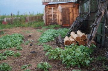 farmer in the field
