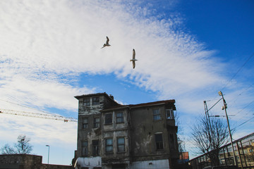 Fototapete bei efototapeten.de bestellen   