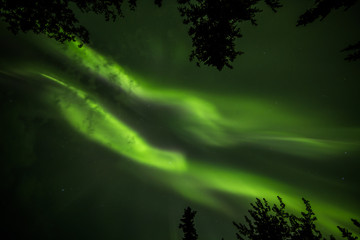 Two green ribbons of Northern Lights in the Alaskan night sky. Light clouds interupt the green...