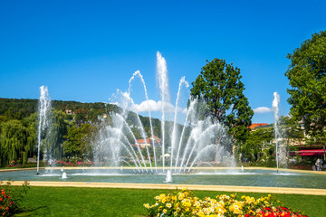 Rosengarten, Bad Kissingen, Bayern, Deutschland 