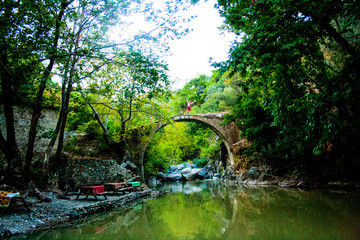 Green habitat at the National Park with lake and river in Kaz Mountain, Kaz Daglari, Mount Ida in...