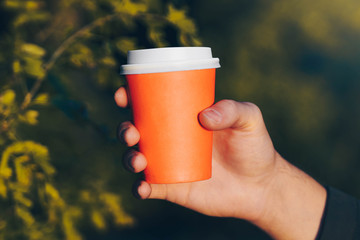 man hand holds a paper coffee cup. hot drink for take away in cold autumn. Blurred trees on background.