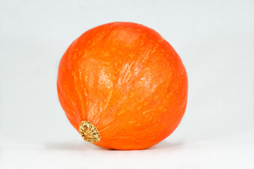Kürbis