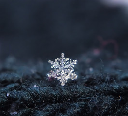 Snowflake beautiful on the grey winter background