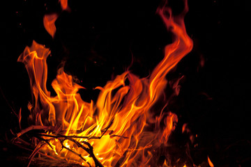 Bonfire, burning coals close-up