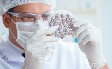 Chemist mixing perfumes in the lab