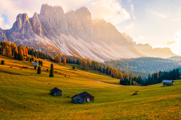 Beautiful autumn colors at the foot of the Odle Mountains in the backdrop of the Seceda Mountains at sunset in the Dolomites, Trentino Alto Adige, Val di Funes Valley, South Tyrol - 292599064