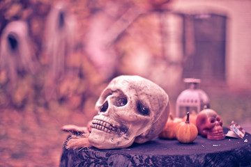 Big skull on a background of pumpkins. Halloween Scenery. Background for Halloween.