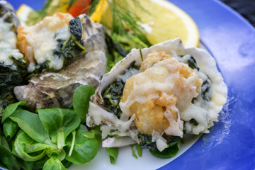 Oyster Rockefeller, baked au gratin with parmesan cheese, herbs and spinach, served with salad and lemon slices on a blue plate, close-up shot with selected focus