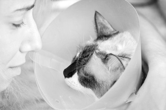 This is Sasha, my first cat and who is 12 years old. She is terminally ill with an inoperable tumor that relapsed after we first operated her. I just wanted to make pictures with her to keep her memor