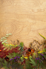 Vertical flat lay (background) of fall-colored leaves, seedheads, and flowers on polished oak wood, with copy space