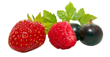 berry strawberry and raspberry with green leaves, isolated on white background.