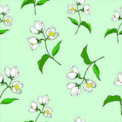 seamless background of painted twigs and Jasmine flowers, vector isolated images, doodles 